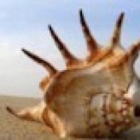 Оксана Спартаковна