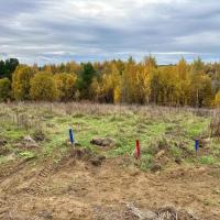 Всеволожский район, Массив Скотное территория   Продаю Земельный участок