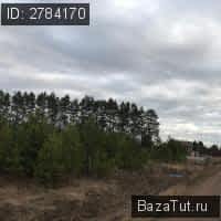 продам земельный участок в России в село Карамалы цена 180 000 руб., фото №3