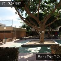 продам 3 к. квартиру в Испании в Кампельо, Carrer Sant Bartolomeu, 82 цена 12 250 000 руб., фото №3