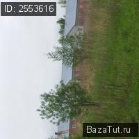 продам земельный участок в России в деревня Карабиха цена 450 000 руб., фото №4