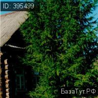 деревня Ширяево, Зеленая улица   Продаю дачу (загородный дом)