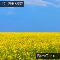 продам земельный участок в России в ТСН Удачный, Солнечный проезд цена 25 000 руб., фото №2