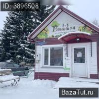 с. Агинское, Красноармейская улица, д.зд66А   Продаю Коммерческую недвижимость