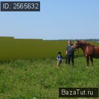 продам земельный участок в России в ТСН Удачный, Солнечный проезд цена 25 000 руб., фото №3