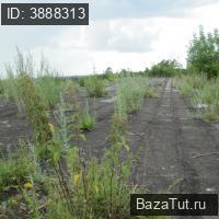продам коммерческую недвижимость в России в Ижевск, Совхоз Медведево территория, д.23 цена 16 825 706 руб., фото №14