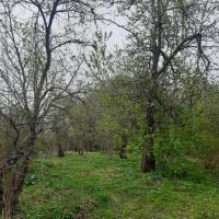 продам дом в России в Покрове, д.38 цена 700 000 руб., фото №7