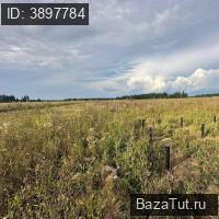 Барсуки,    Продаю Земельный участок