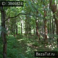 продам земельный участок в России в территория Пионерский лагерь Истра от НПО имени Ла цена 318 701 826 руб., фото №6