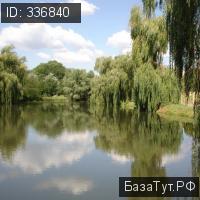 продам дом в Болгарии, Е87 цена 158 400 000 руб., фото №7