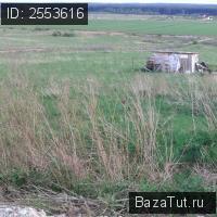 продам земельный участок в России в деревня Карабиха цена 450 000 руб., фото №3
