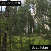 продам земельный участок в России в поселок Ледянка цена 290 000 руб., фото №4