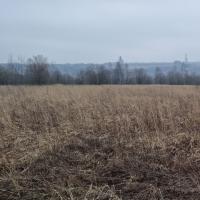 продам земельный участок в России в Белогузово цена 51 083 016 руб., фото №18