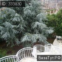 продам дом в Болгарии, Болгария цена 112 500 000 руб., фото №22