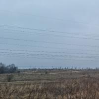 продам земельный участок в России в Белогузово цена 25 192 926 руб., фото №2