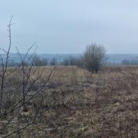 продам земельный участок в России в Белогузово цена 40 840 035 руб., фото №13