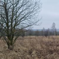 продам земельный участок в России в Белогузово цена 40 840 035 руб., фото №6