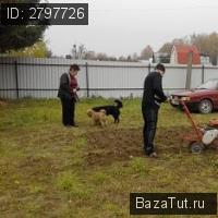 продам земельный участок в России в деревня Самарино цена 250 000 руб., фото №3