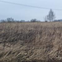продам земельный участок в России в Белогузово цена 51 083 016 руб., фото №16