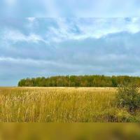 Малое Макаево, Лесная улица   Продаю Земельный участок