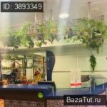 Тюмень, Немцова улица, д.22  . Сдам Ресторан, кафе