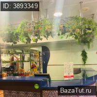 Тюмень, Немцова улица, д.22  . Сдам Ресторан, кафе