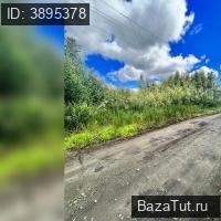 Лангепас, Рябинушка территория снт   Продаю Земельный участок