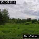 Шутовщина, Беговая улица   Продаю Земельный участок