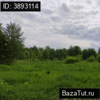 Шутовщина, Беговая улица   Продаю Земельный участок