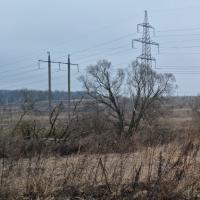 продам земельный участок в России в Белогузово цена 37 283 500 руб., фото №18