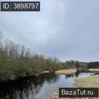 продам дом в России в Даймище, Большой проспект, д.59 цена 2 700 000 руб., фото №3