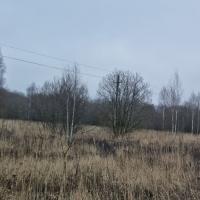 Белогузово,    Продаю Земельный участок