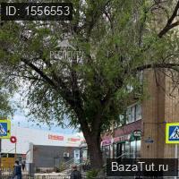 сдам коммерческую недвижимость в России в Раменском,  Ногина ул цена 150 000 руб./месяц, фото №13
