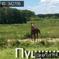 деревня Большое Грызлово,    Продаю Земельный участок