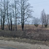 продам земельный участок в России в Белогузово цена 40 840 035 руб., фото №7