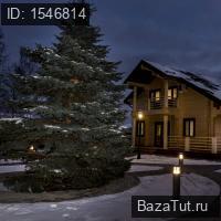 Щёлково, Купол 2009 территория днт, д.6  . Сдам