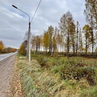 Всеволожский район, Массив Скотное территория   Продаю Земельный участок