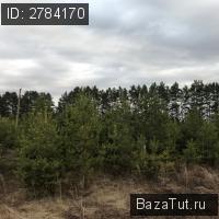 продам земельный участок в России в село Карамалы цена 180 000 руб., фото №4