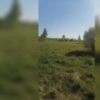 Веригино,    Продаю Земельный участок