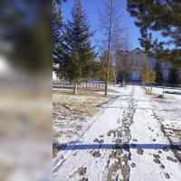 продам коммерческую недвижимость в России в Преображенка, Арахлейская улица, д.97 цена 20 000 000 руб., фото №3