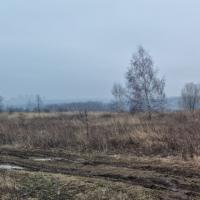 продам земельный участок в России в Белогузово цена 51 083 016 руб., фото №6