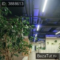 Санкт-Петербург, Матроса Железняка улица, д.2стр1  10 Продаю Коммерческую недвижимость