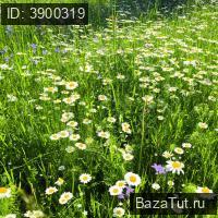 Продаю Земельный участок