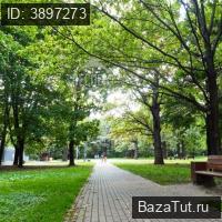 продам 9 к. квартиру в России в г Москве,  ул. Академика Королева, 21 цена 17 160 000 руб., фото №32