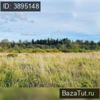 Аргуново,    Продаю Земельный участок