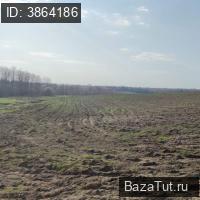 продам земельный участок в России в Сваткове цена 21 600 000 руб., фото №5