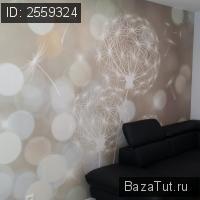 продам 1 к. квартиру в Латвии, улица Сколас цена 3 100 000 руб., фото №9