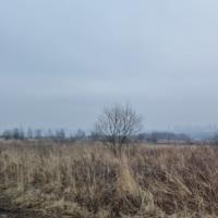 Белогузово,    Продаю Земельный участок