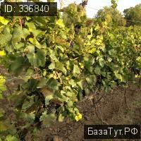 продам дом в Болгарии, Е87 цена 158 400 000 руб., фото №11
