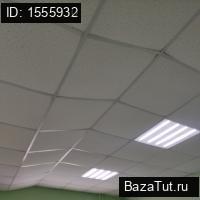 сдам коммерческую недвижимость в России в Люберцах,  Митрофанова ул цена 75 000 руб./месяц, фото №4